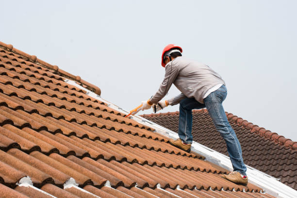 Best Solar Panel Roofing Installation  in Elkhart Lake, WI